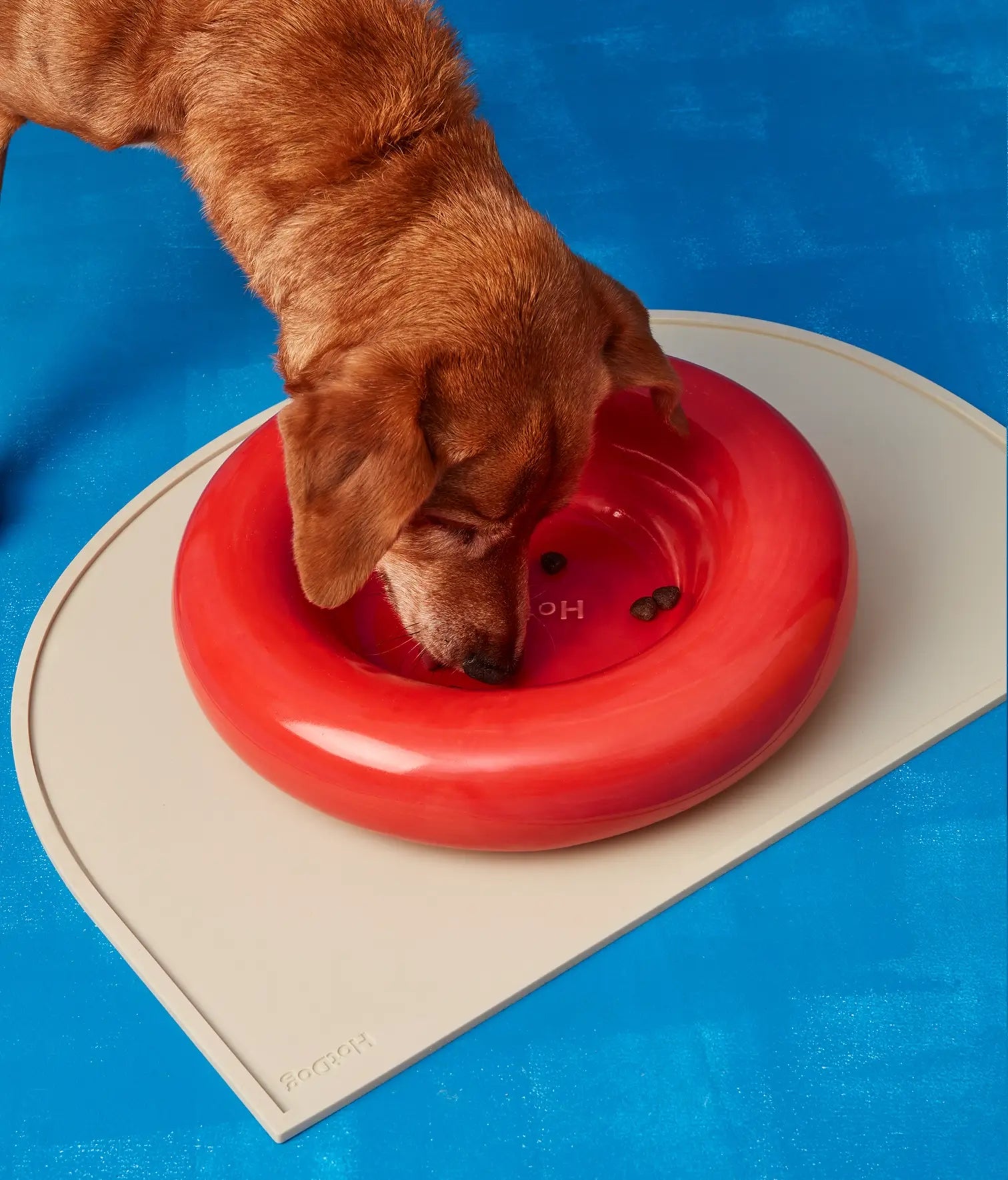 Gamelle en céramique rose pour chien M