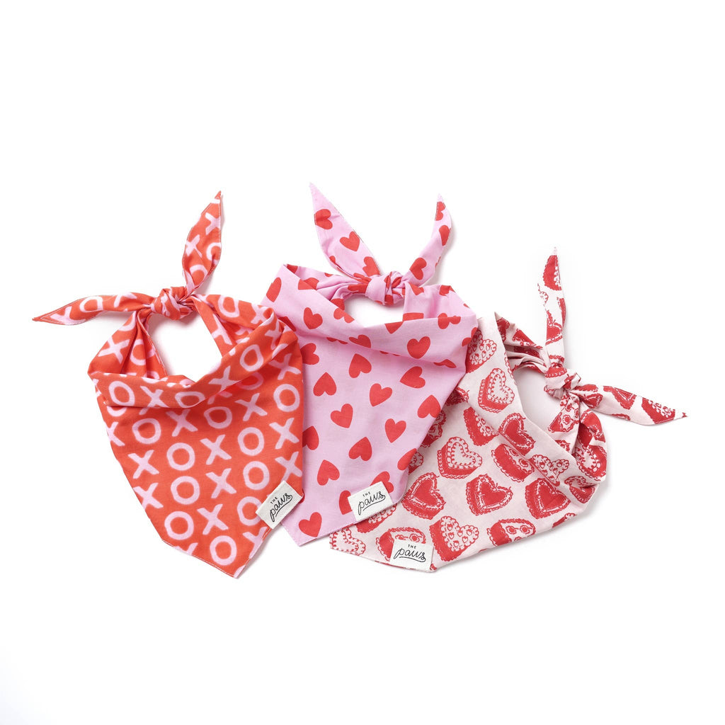 Bandana pour chien - XO rouge et rose