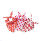Bandana pour chien - Coeurs rouge et rose