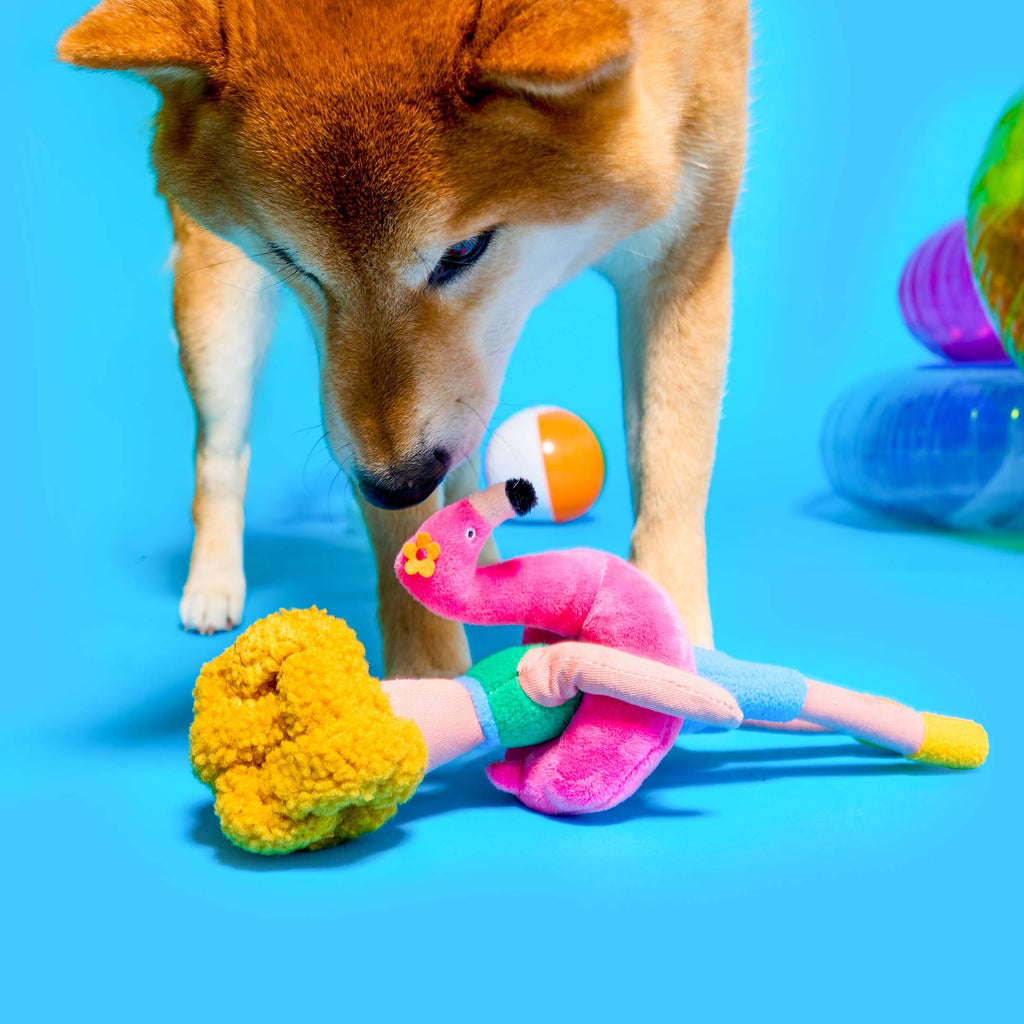Jouet de fouille Flamingo Hooman