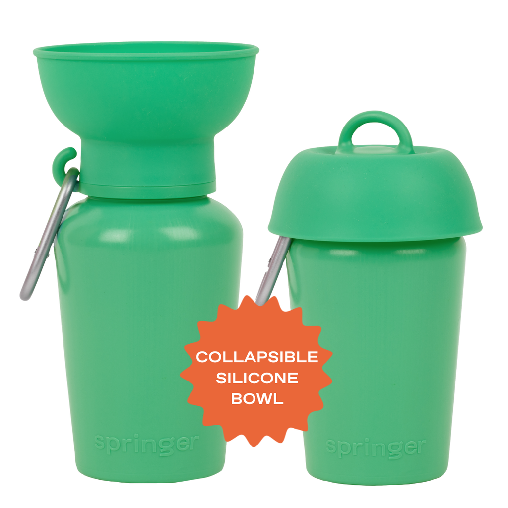 Gourde de voyage pliable pour chien