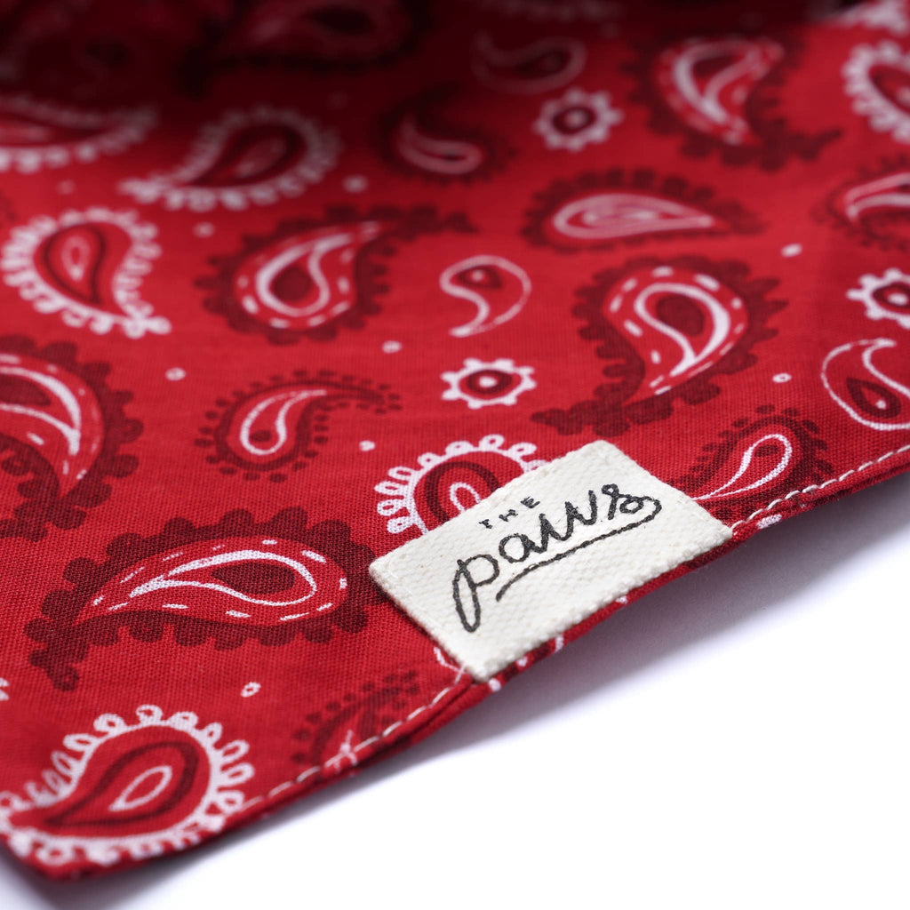 Bandana pour chien - Rouge