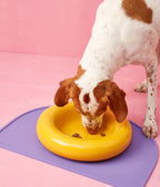 Gamelle en céramique rose pour chien M