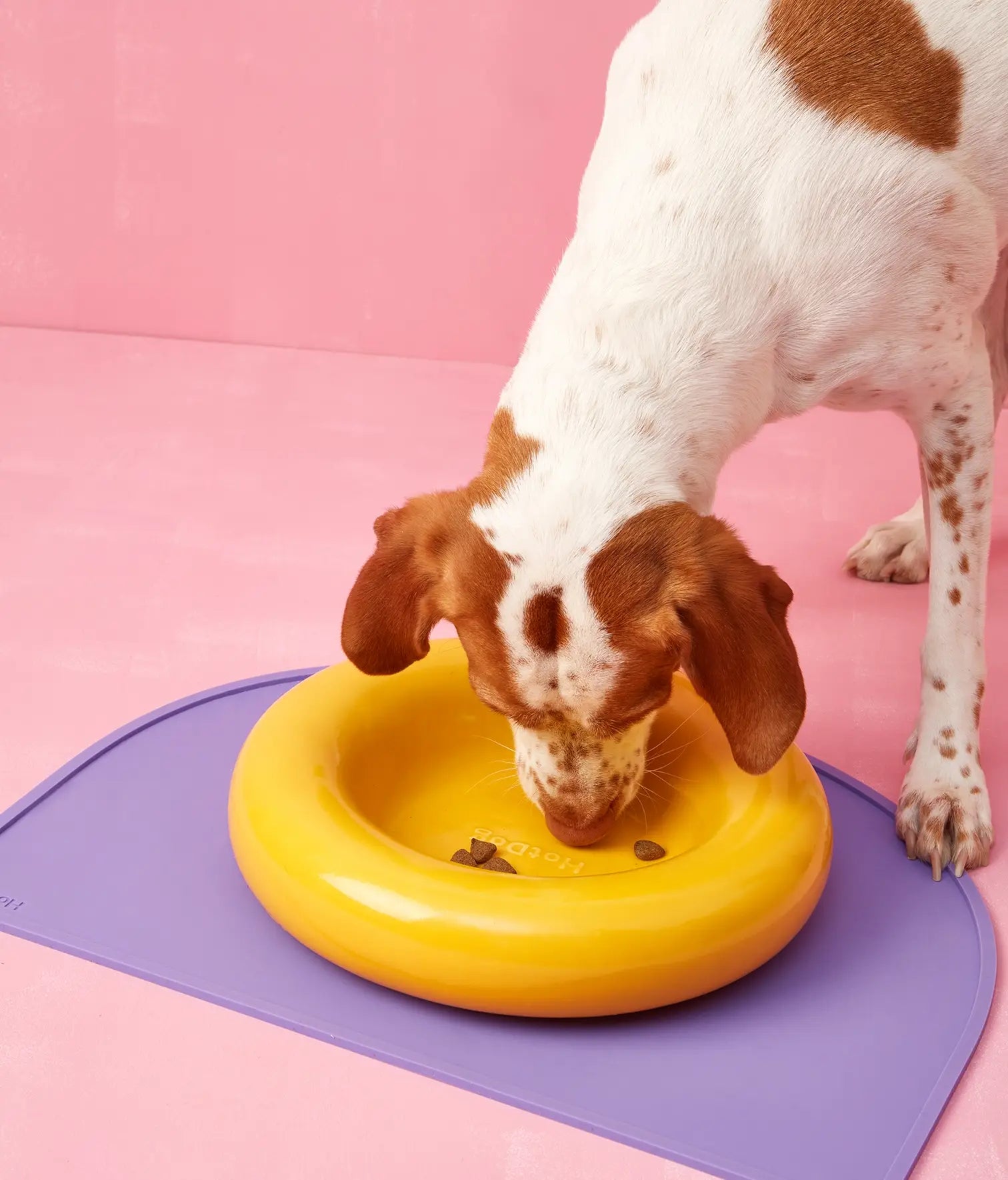 Gamelle en céramique rose pour chien M