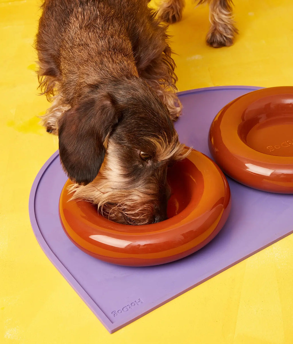 Gamelle en céramique rose pour chien M