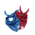 Bandana pour chien - Bleu
