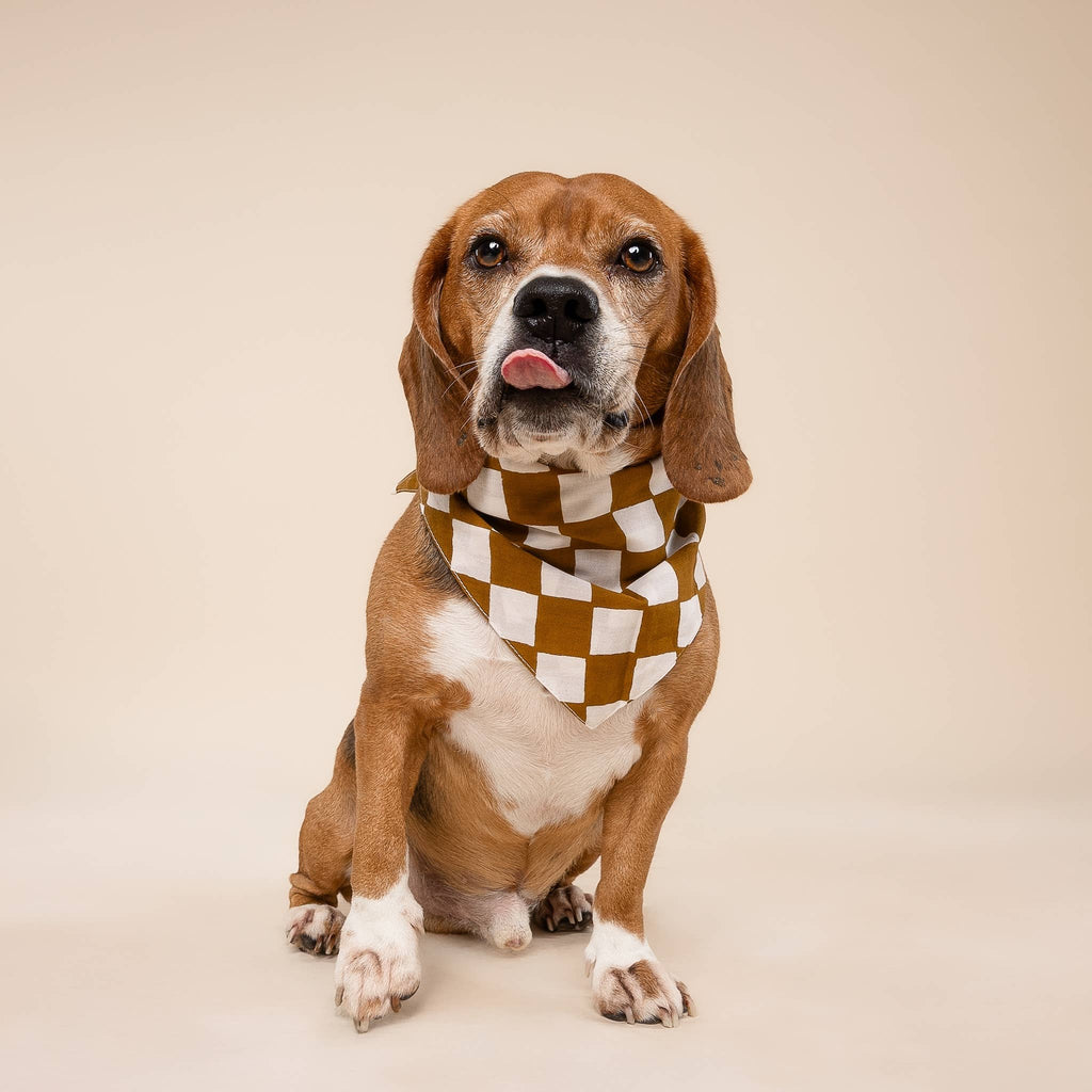 Bandana pour chien - Damier chocolat