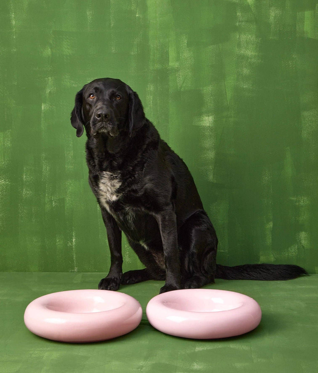 Gamelle en céramique rose pour chien M