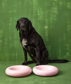 Gamelle en céramique rose pour chien M