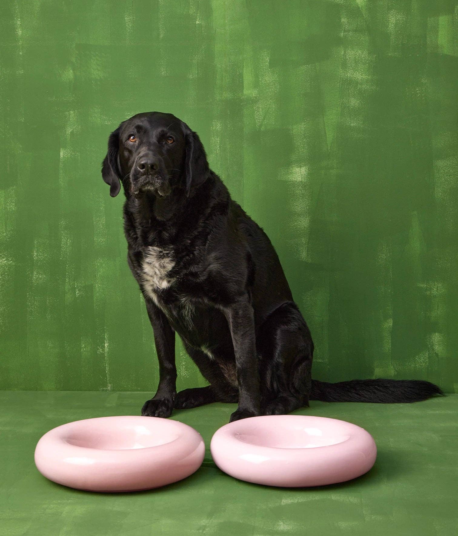 Gamelle en céramique rose pour chien M