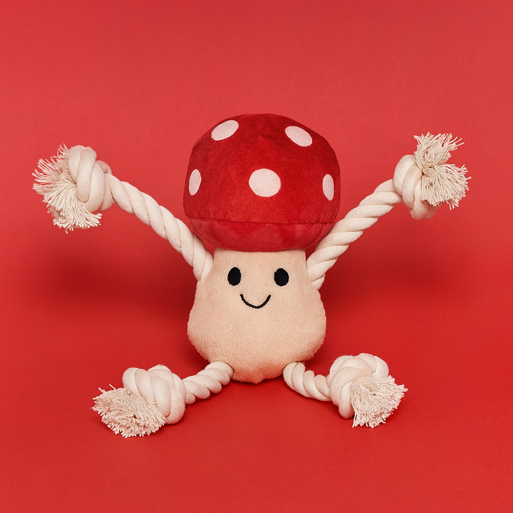 Jouet pour chien Toad