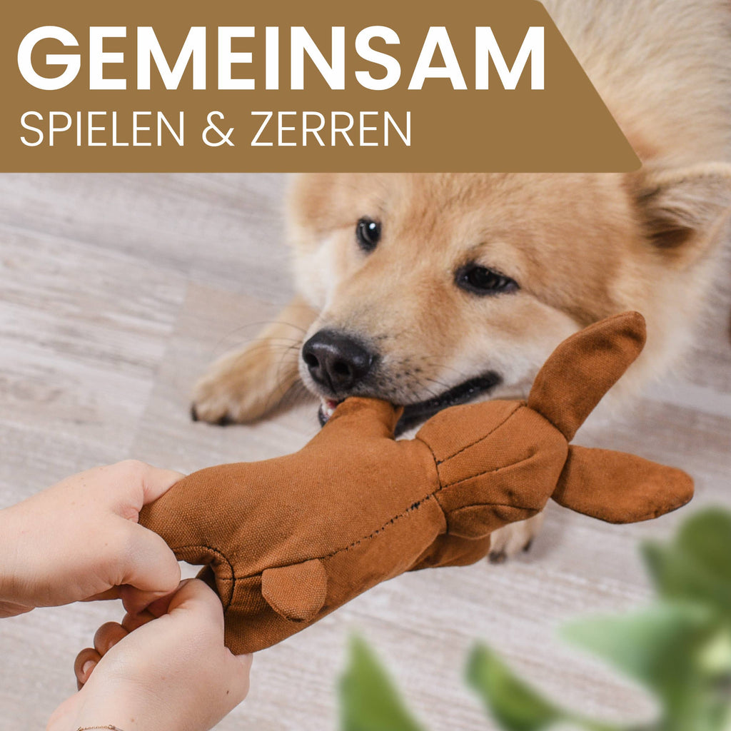Jouet pour chien robuste avec couineur - Lapin
