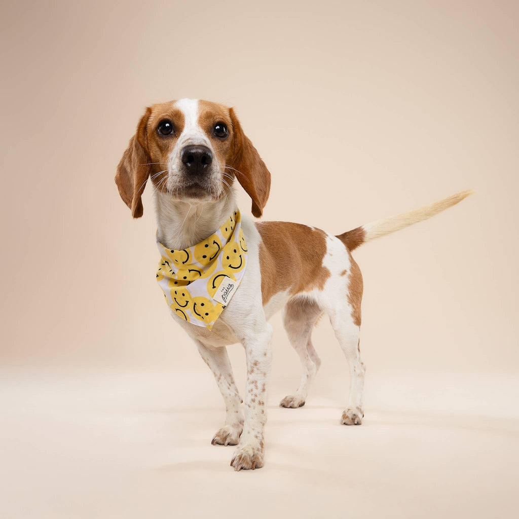 Bandana pour chien - Smile