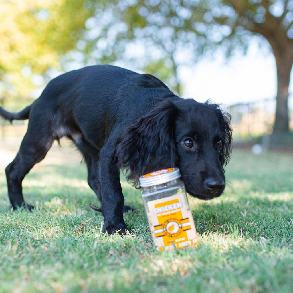 Friandises lyophilisées pour chien