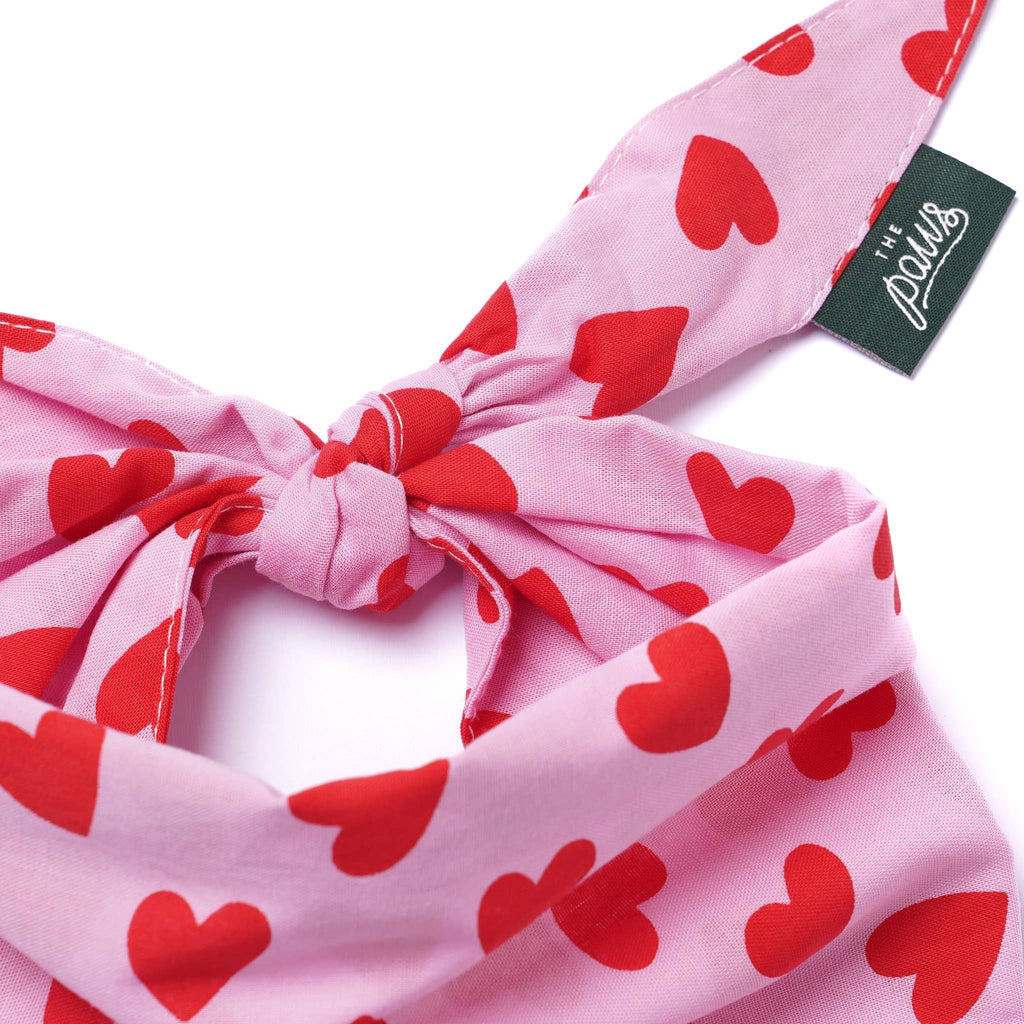 Bandana pour chien - Coeurs rouge et rose