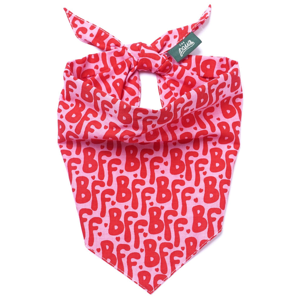 Bandana pour chien - BFF rouge et rose