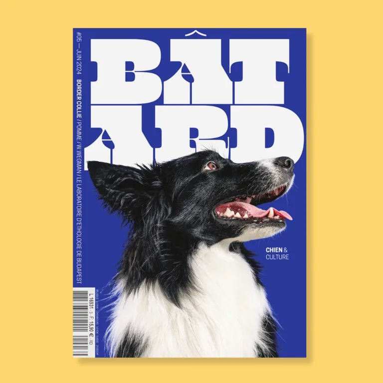 Magazine Batard
