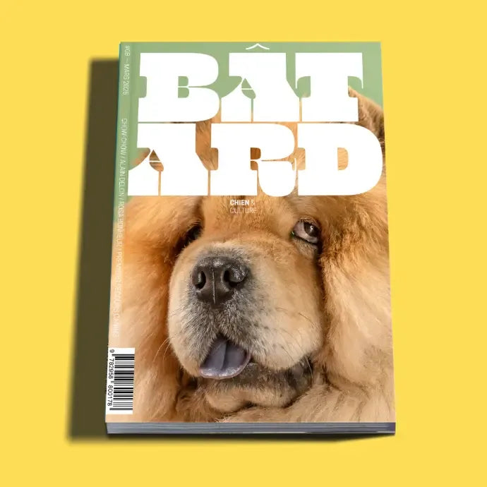 Magazine Batard