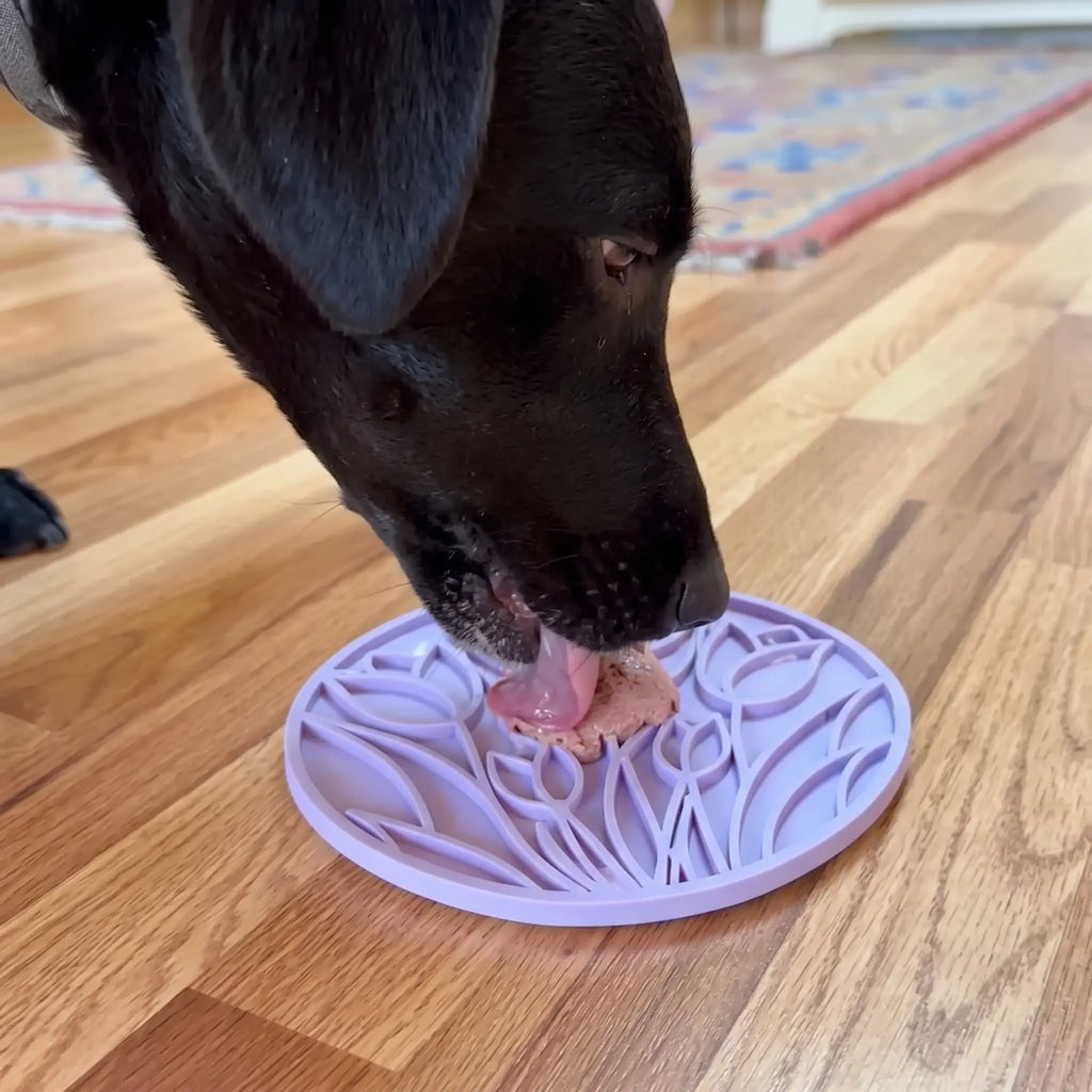 Tapis de léchage pour chien - Tulipe Lilas