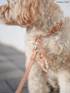 Harnais pour chien imperméable - Beige Latte