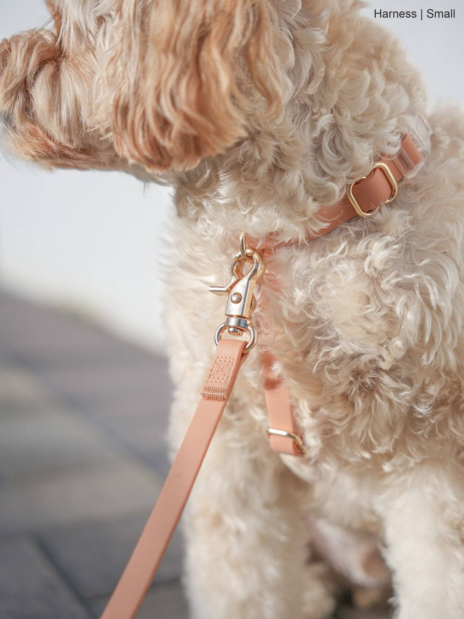 Harnais pour chien imperméable - Beige Latte