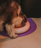 Gamelle en céramique rose pour chien M