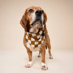 Bandana pour chien - Damier chocolat