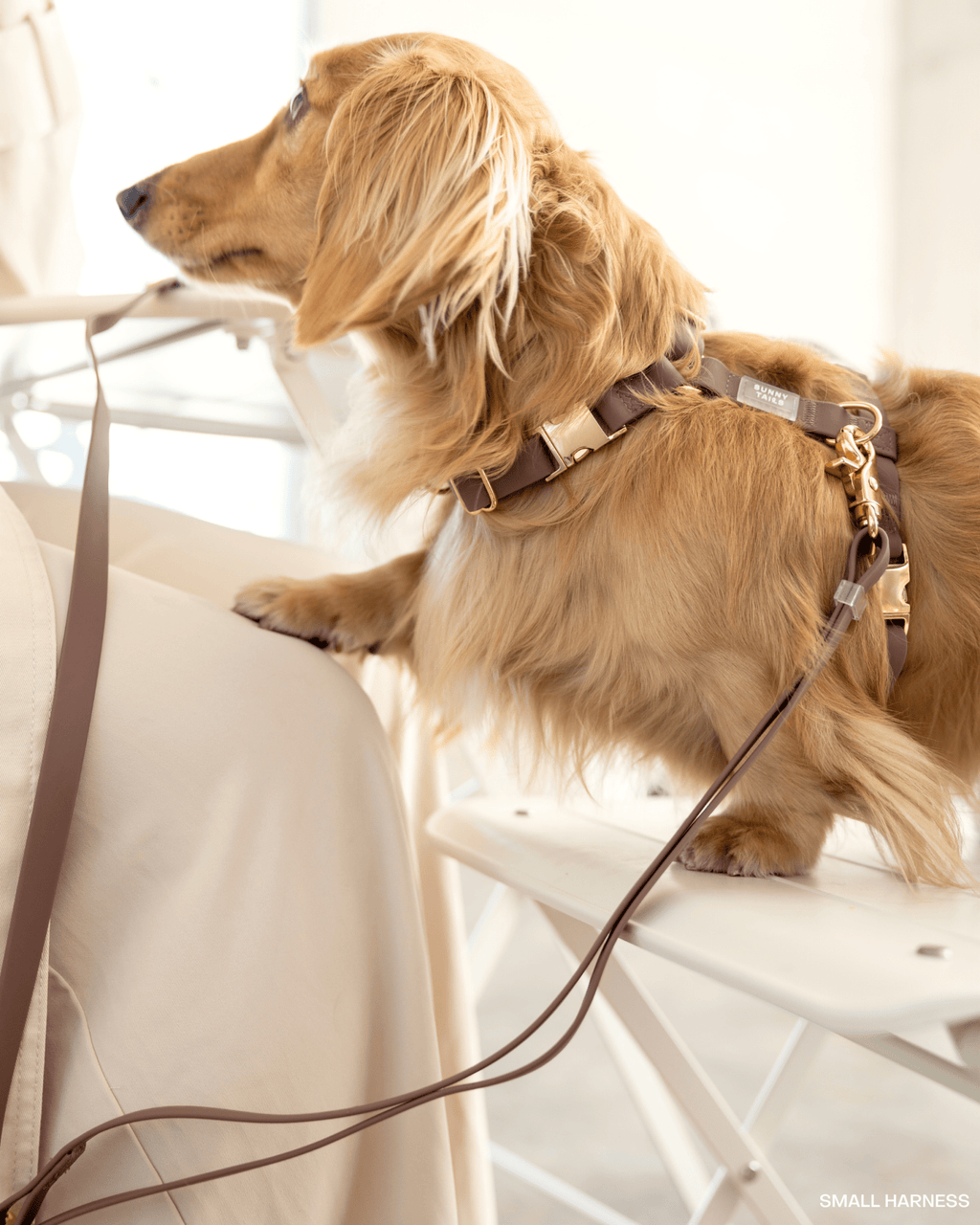 Harnais pour chien imperméable - Chocolat