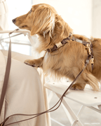 Harnais pour chien imperméable - Chocolat