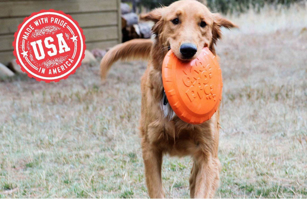 Frisbee en caoutchouc