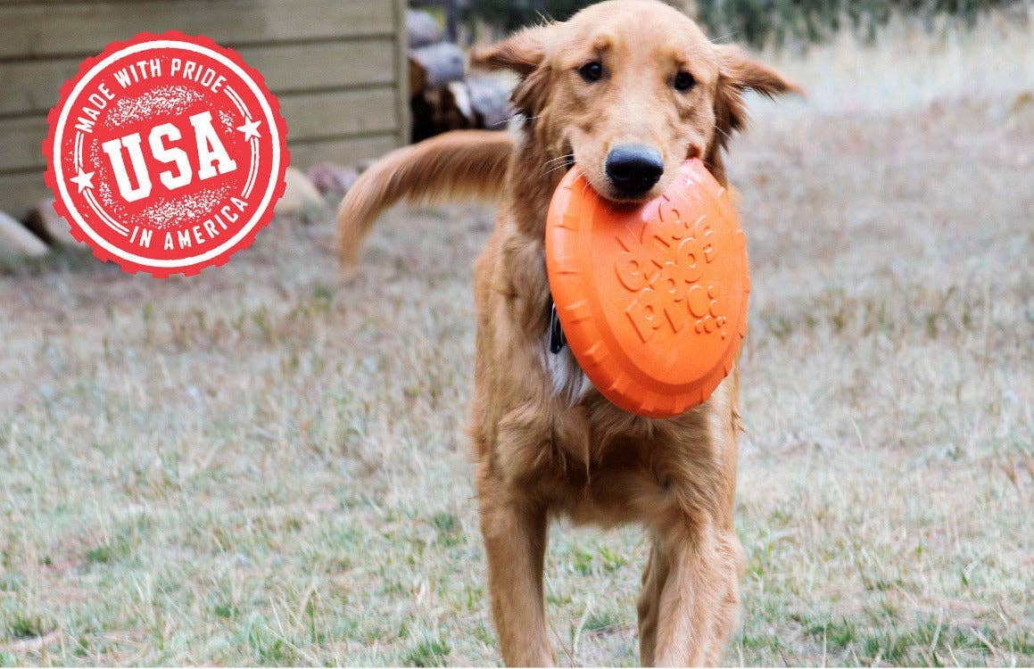 Frisbee en caoutchouc