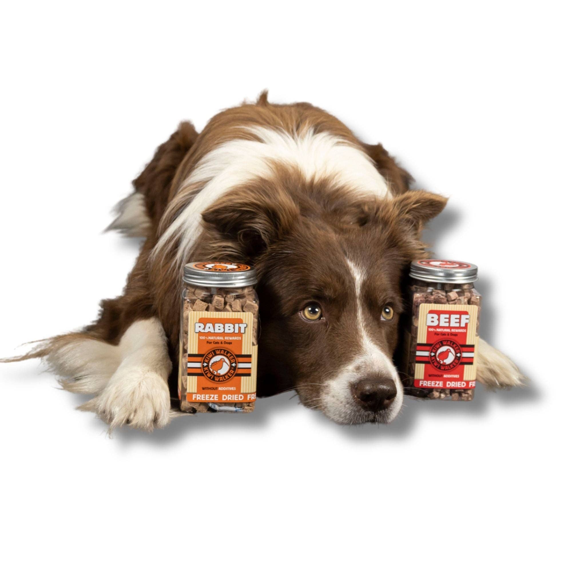 Friandises lyophilisées pour chien