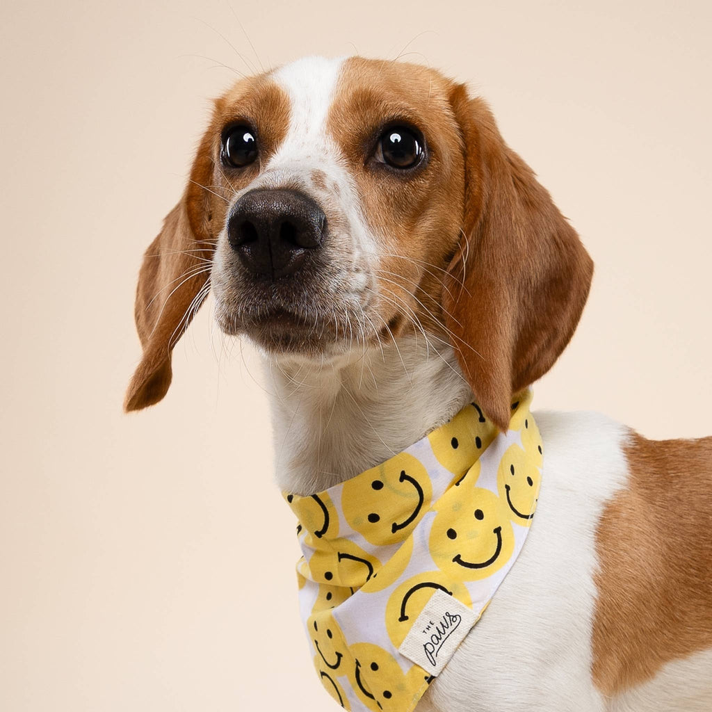 Bandana pour chien - Smile