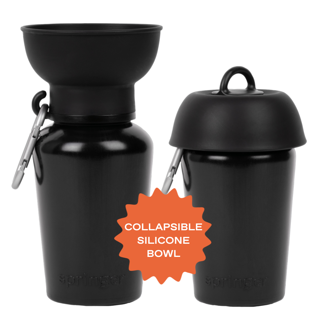 Gourde de voyage pliable pour chien