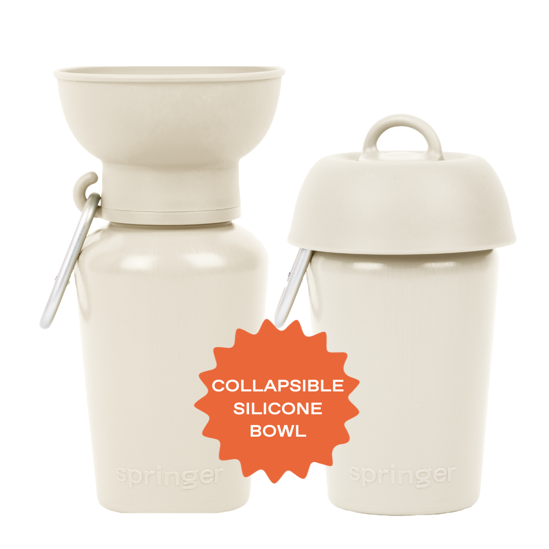Gourde de voyage pliable pour chien