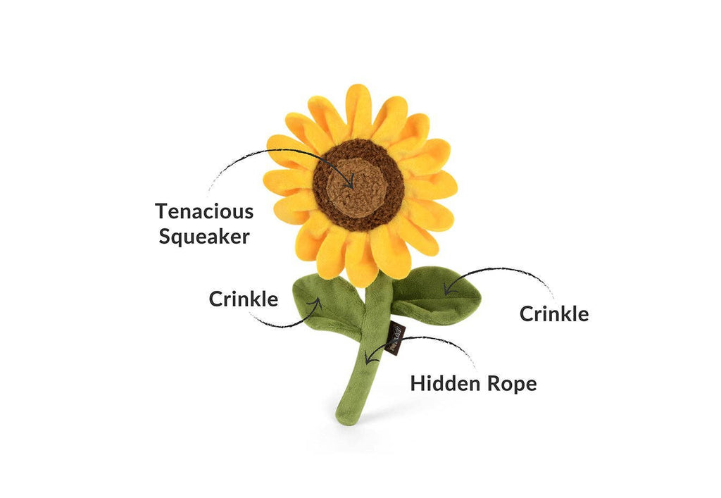 Jouet Balle et corde Tournesol