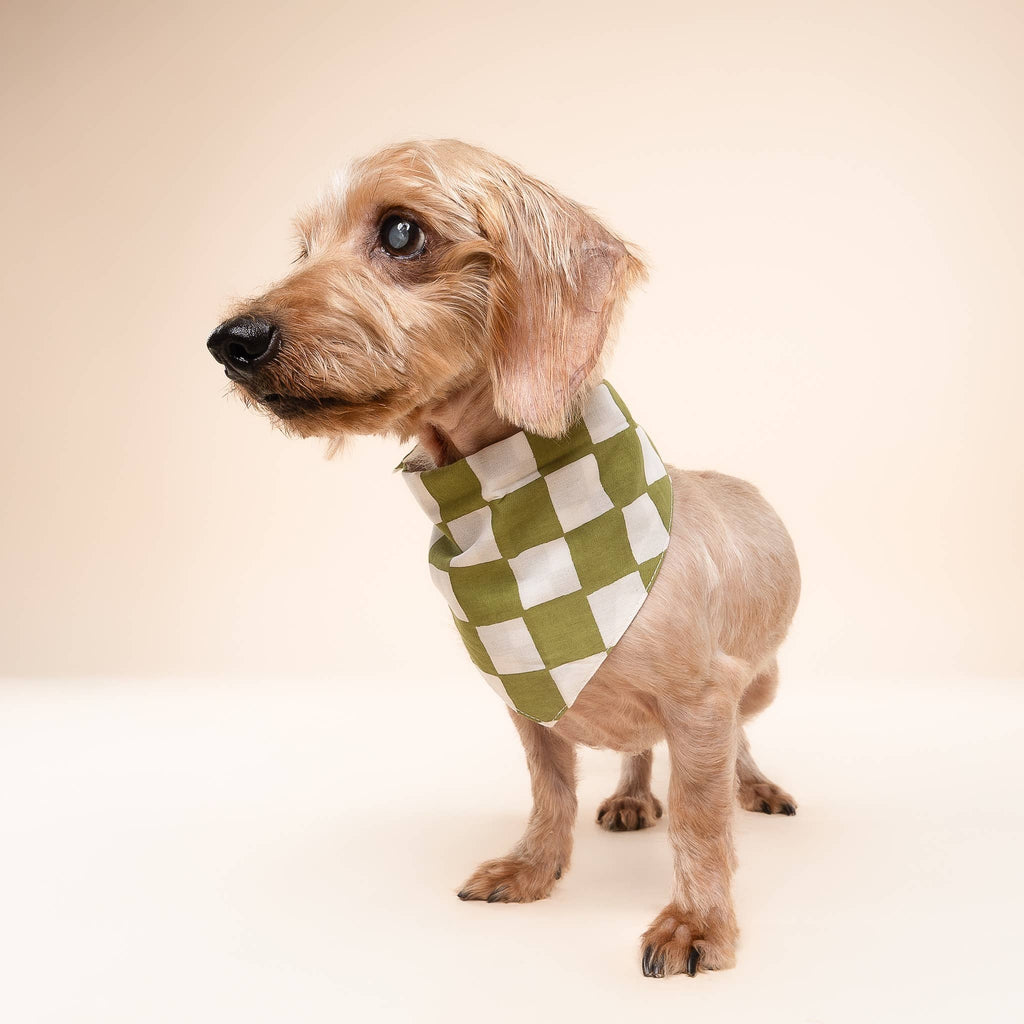 Bandana pour chien - Damier Vert