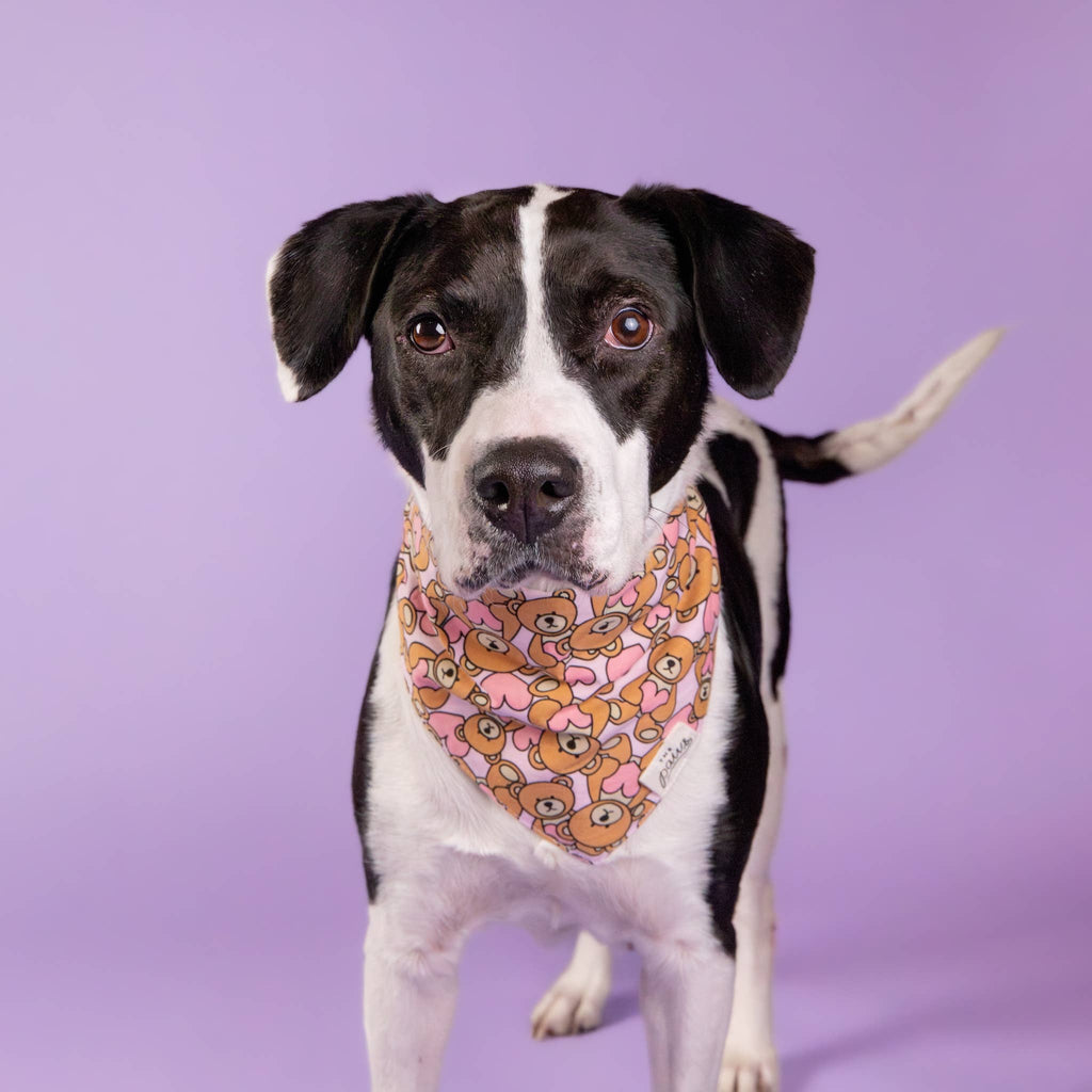 Bandana pour chien - Nounours rose