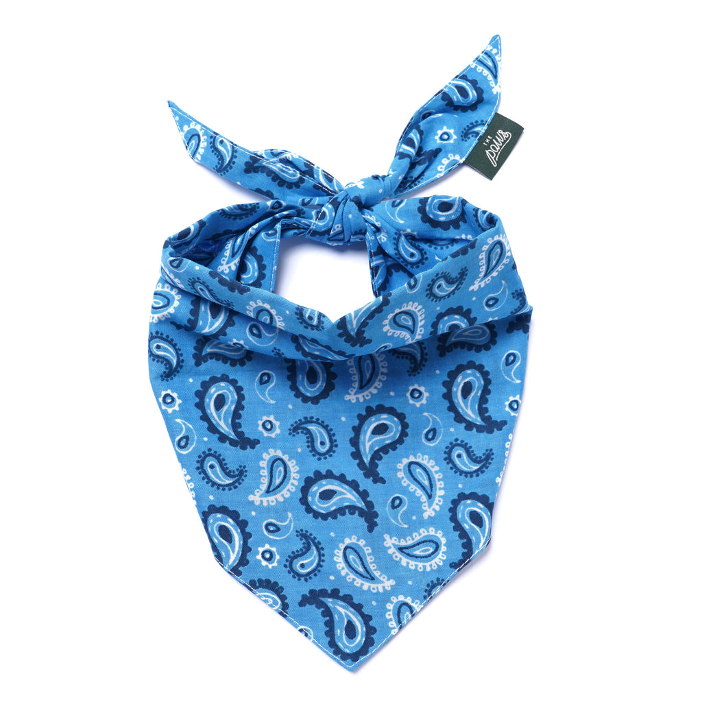 Bandana pour chien - Bleu