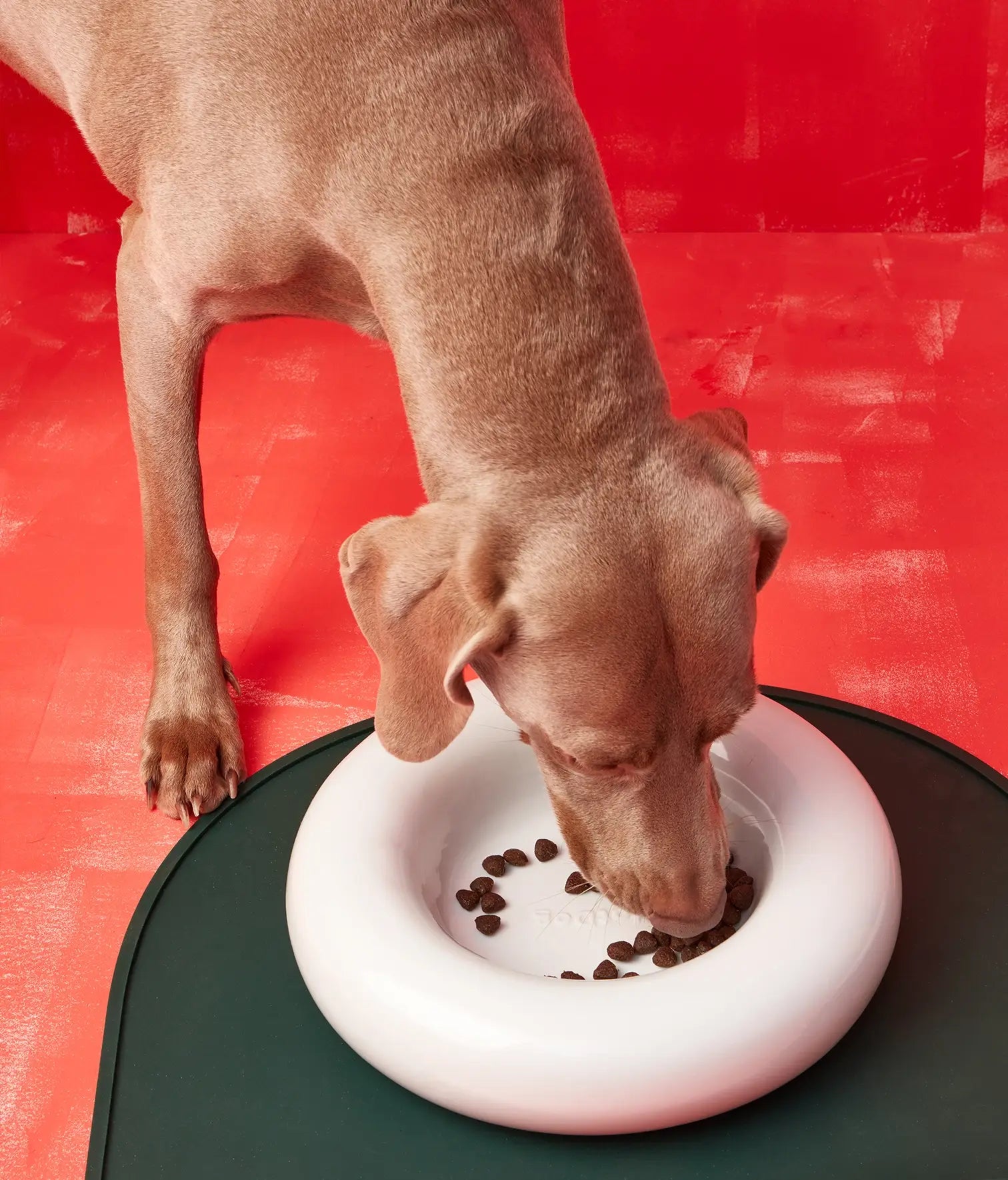 Gamelle en céramique rose pour chien M