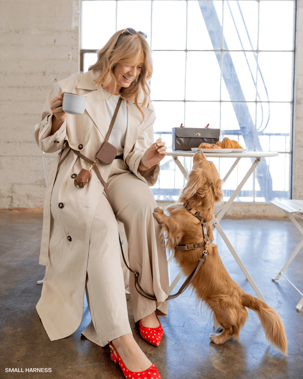 Harnais pour chien imperméable - Chocolat