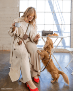 Harnais pour chien imperméable - Chocolat