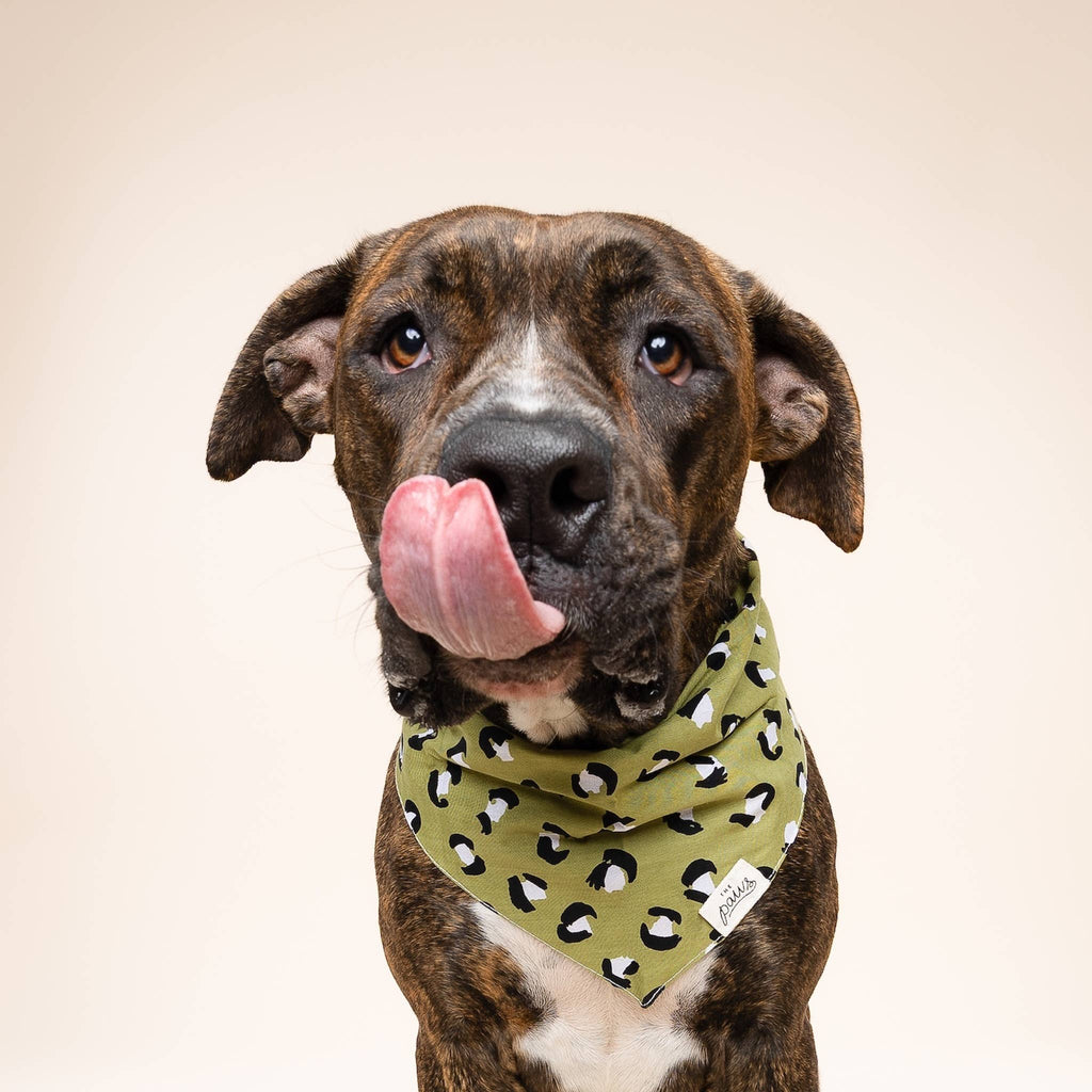 Bandana pour chien - Léopard kaki