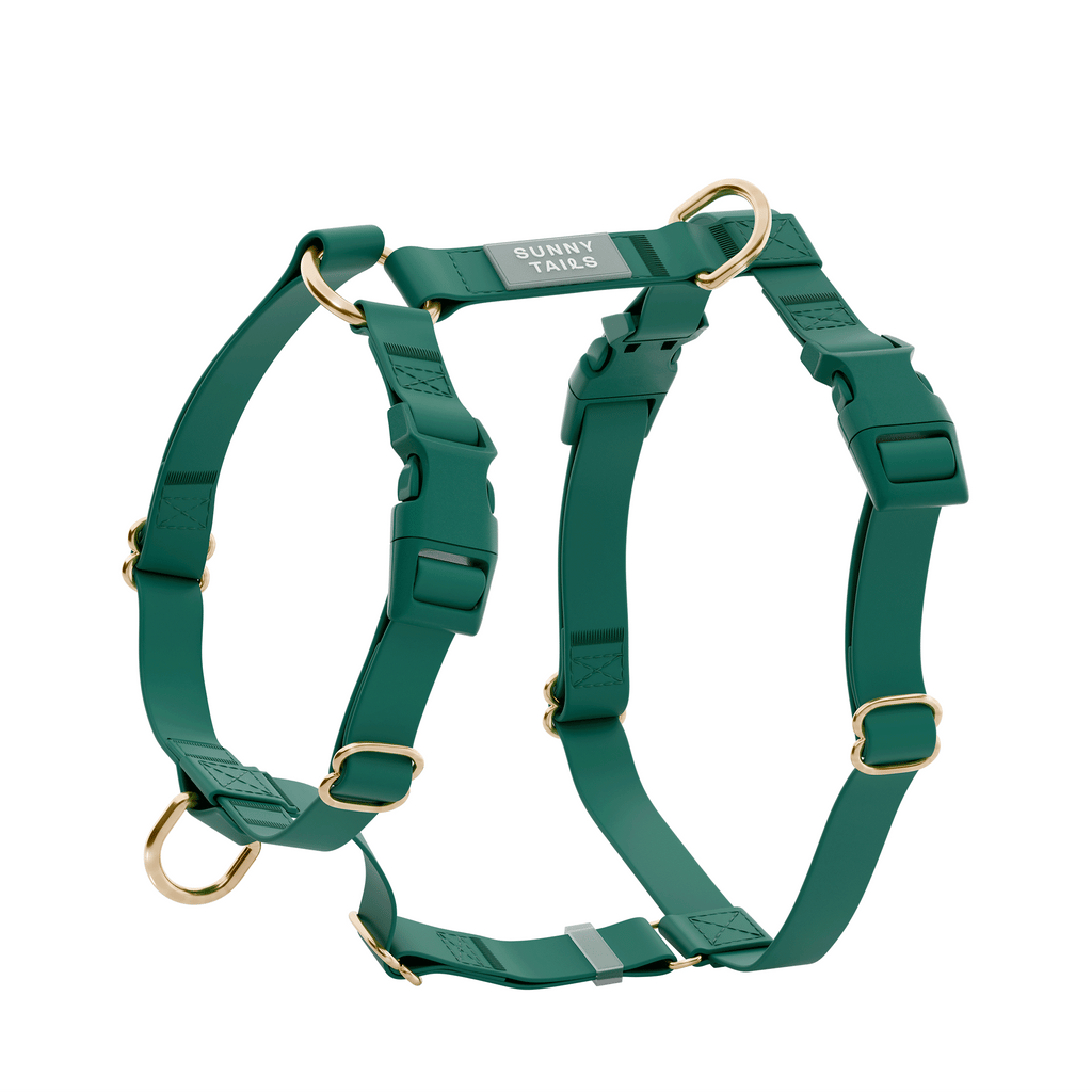 Harnais pour chien imperméable - Vert Sapin