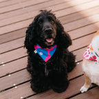 Bandana fleurs bleues à glisser dans le collier