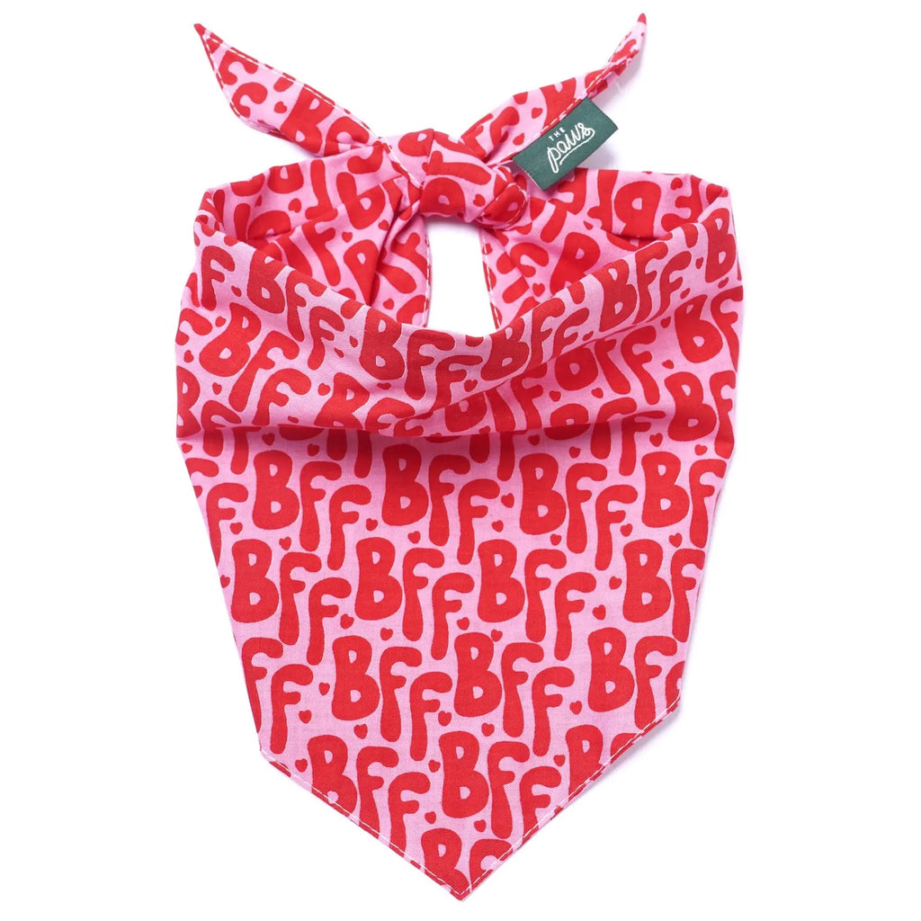Bandana pour chien - BFF rouge et rose