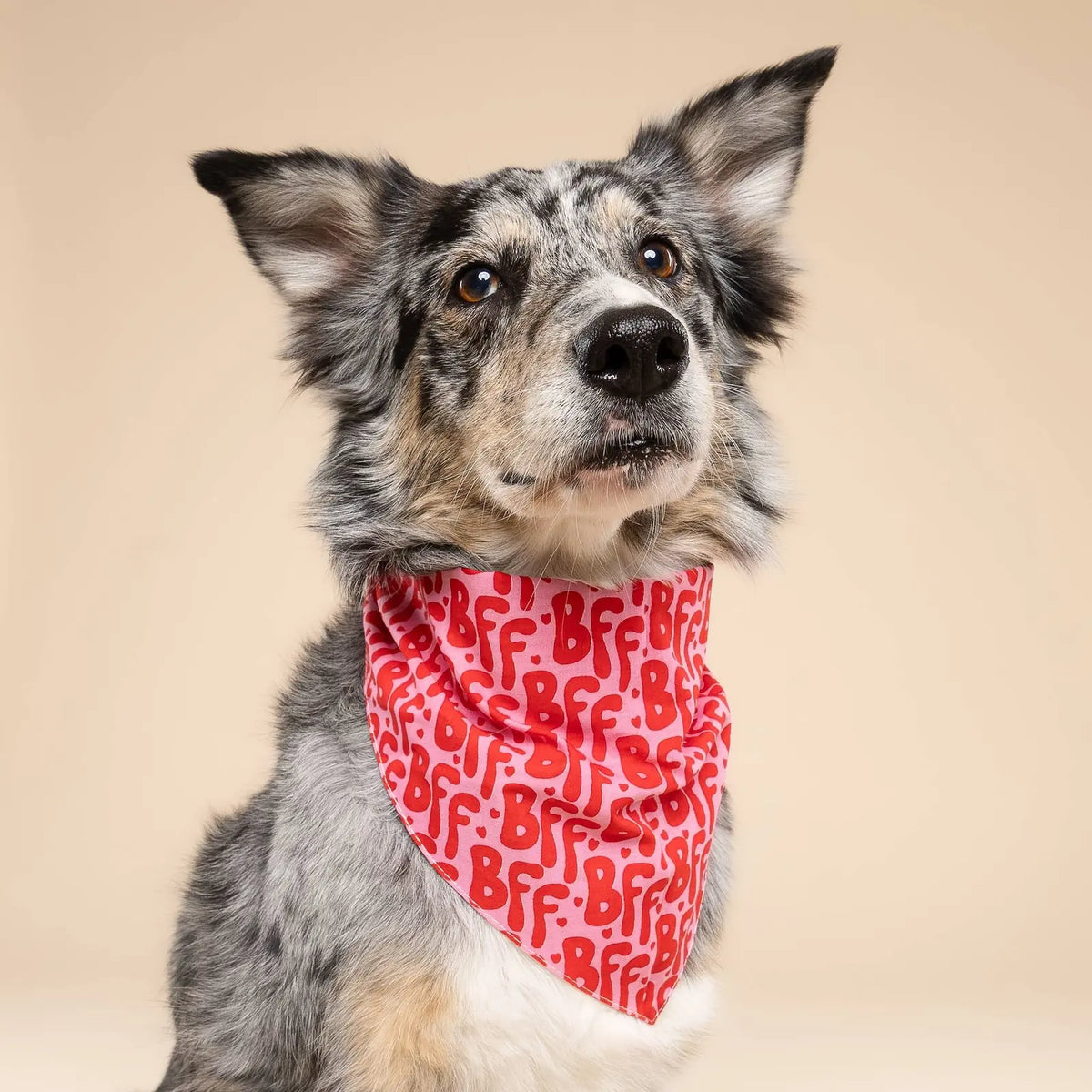 Bandana pour chien - BFF rouge et rose