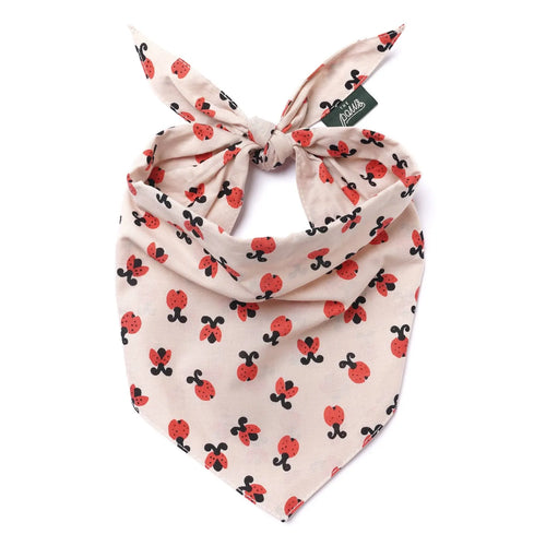 Bandana pour chien - Coccinelle