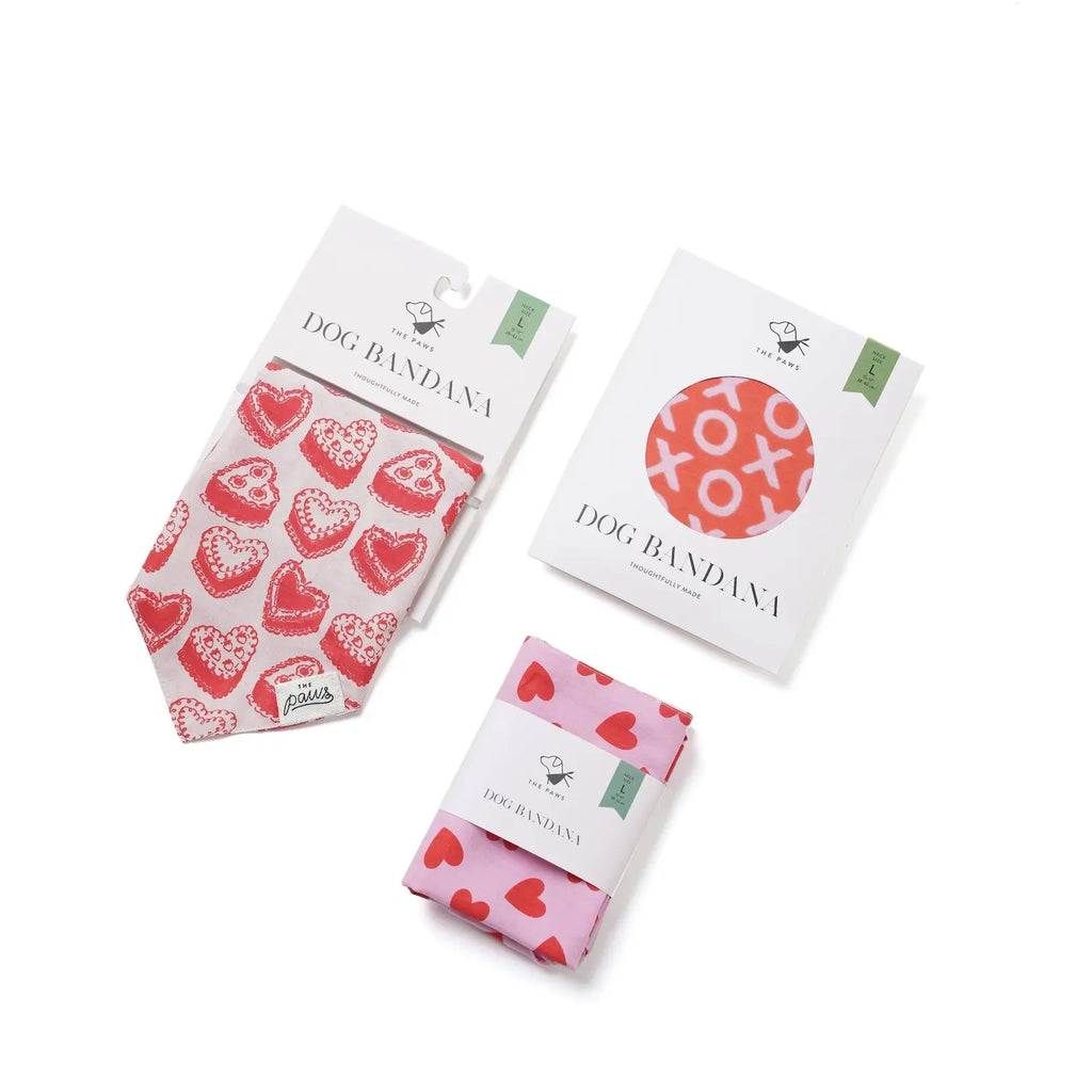 Bandana pour chien - Coeurs rouge et rose