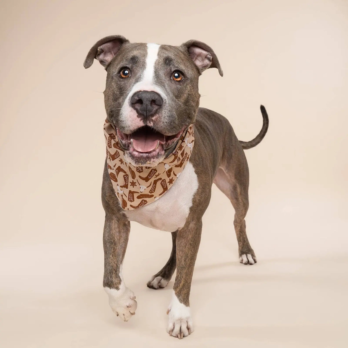 Bandana pour chien - Cow-boy
